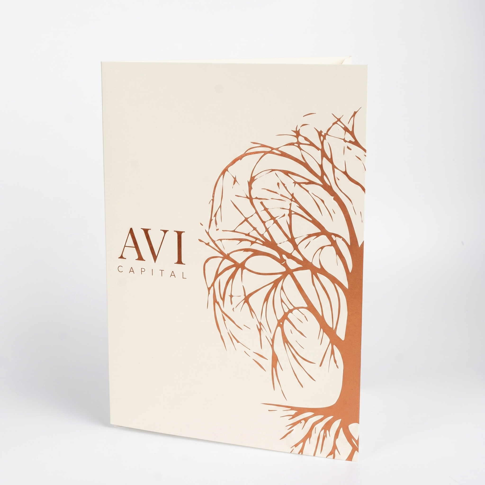 AVI Capital — кремовая папка-вырубка с медным тиснением дерева