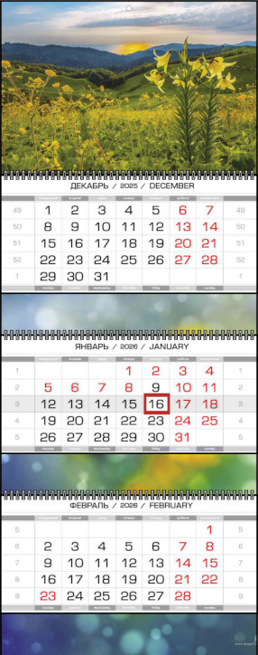 ����������� ��������� XL ������ ��� �����